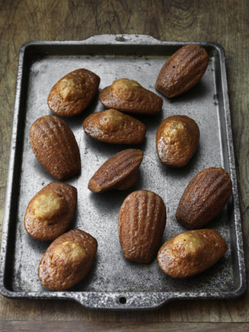 madeleines on a pan